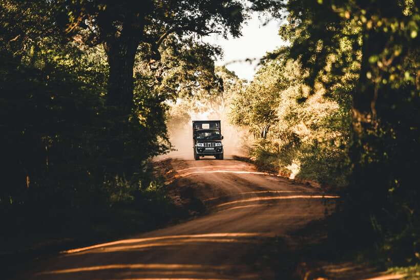 Overnight Treehouse Safari at Yala National Park - Evening game drive: customized vehicle, snacks, and ranger-led searching