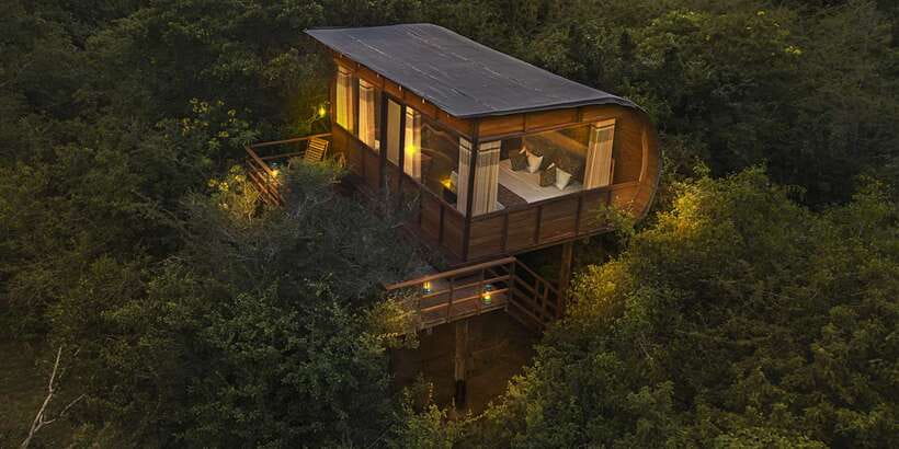 Overnight Treehouse Safari at Yala National Park - Price and value: what $549 gets you (and what it doesn’t)