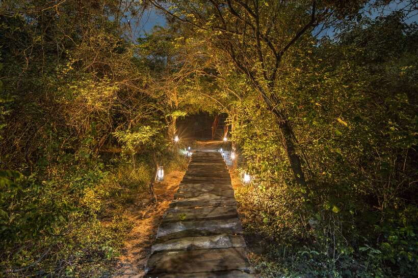 Overnight Treehouse Safari at Yala National Park - Fitness and health limits: who this is not for