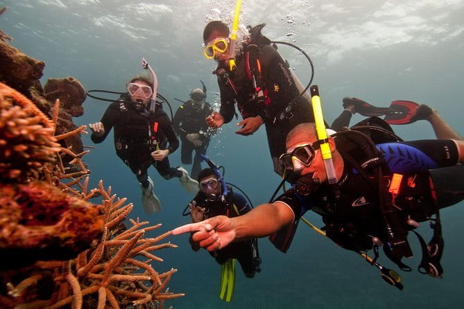 PADI Advanced Open Water Diver Course - Price and Value: What $225.51 Covers (and What It Doesn’t)