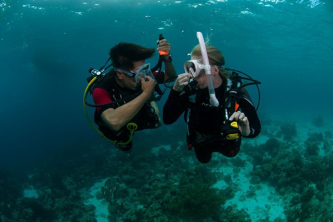 PADI Scuba Diver Course - Your Course Breakdown: Theory, Confined Water, Then Open-Water Training