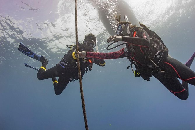 PADI Scuba Diver Course - Who This Is Best For (and Who Might Choose Open Water Instead)