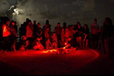 Paradise Turtle Watching Tours - The 8 PM Tangalle Pickup and Tuk-Tuk Ride Out