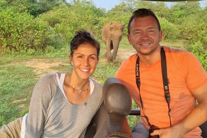 Paradise Udawalawe Safari Tours - Who should book this Udawalawe half-day safari?