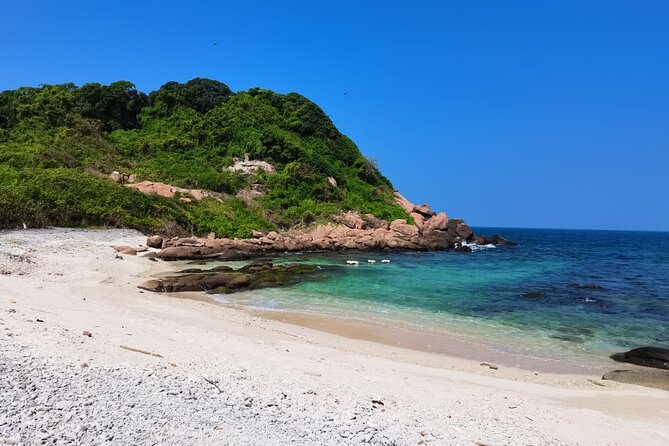 Pigeon Island Snorkeling – Swim with Sharks & Turtles - How the 3-Hour Format Feels in Real Life