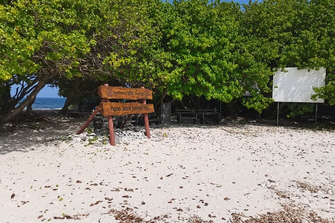 Pigeon Island Snorkeling – Swim with Sharks & Turtles - What’s Included (and What You Must Budget For)