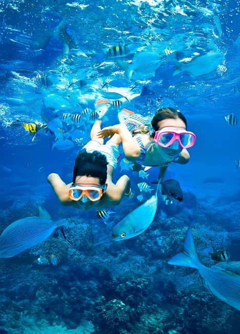Pigeon Island Snorkeling Tour from Uppuveli Beach - Key highlights worth prioritizing