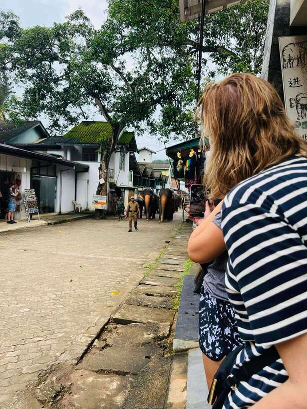 Pinnawala Day Tour from Kandy (Private tour ) - Gem Museum: a stop that pays off if you like real details