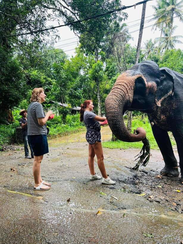 Pinnawala Day Tour from Kandy (Private tour ) - Kandy View Point and Bahirawakanda Big Buddha: the scenic payoff between stops