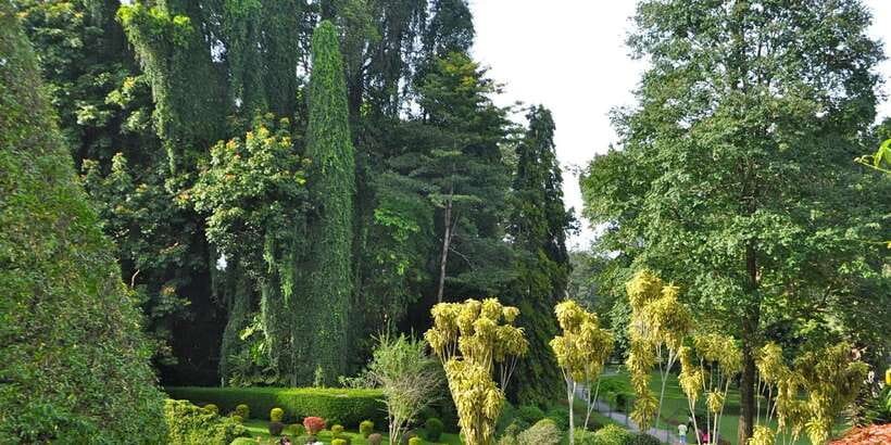 Pinnawala & Kandy Day Tour from Negombo - Key highlights that make this tour worth it