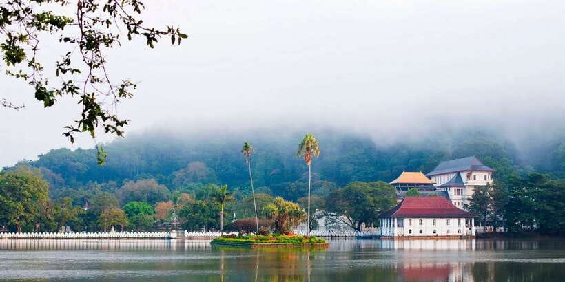 Pinnawala & Kandy Day Tour from Negombo - A smart day trip loop: Negombo to Pinnawala and Kandy, without wasting time