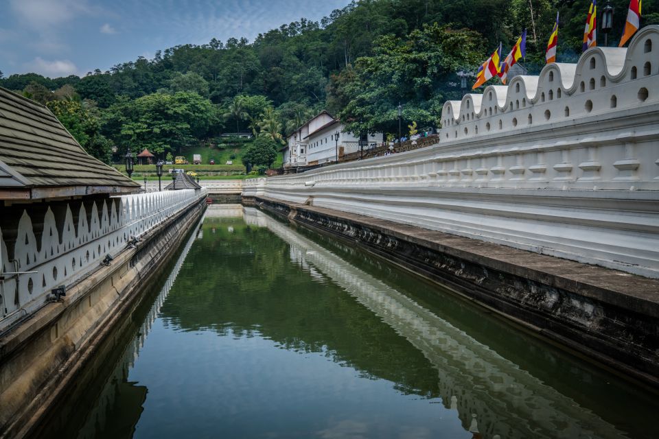 Pinnawala & Kandy Day Tour from Negombo - Royal Botanical Gardens in Kandy: the plant-knowledge stop you’ll remember