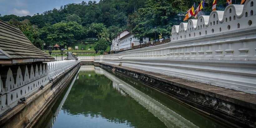 Pinnawala & Kandy Day Tour from Negombo - Kandy viewpoint: the short photo stop that gives you bearings