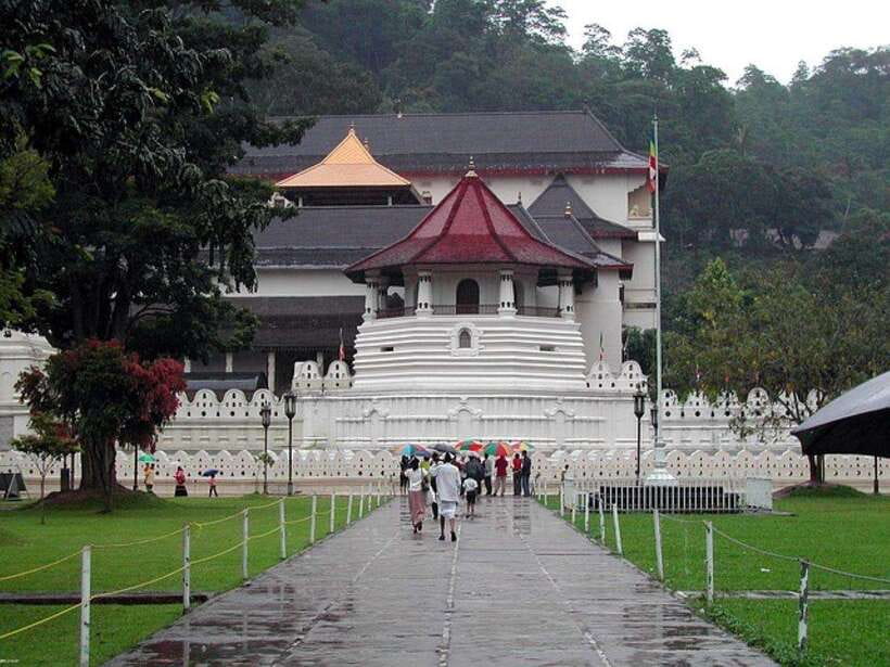 Pinnawala,Kandy Day Tour from Colombo/Negombo - Key Things You’ll Remember From This Tour