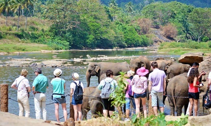 Pinnawala,Kandy Day Tour from Colombo/Negombo - The Day Trip Rhythm: 6:30 AM Start and a Long, Busy Loop