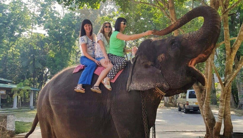 Pinnawala,Kandy Day Tour from Colombo/Negombo - Temple of the Tooth in Kandy: Sacred Relic Meets Real-World Kandy