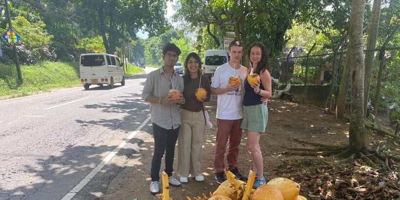 Pinnawala,Kandy Day Tour from Colombo/Negombo - Tea Factory Tour: From Leaf to Ceylon Tea Tasting