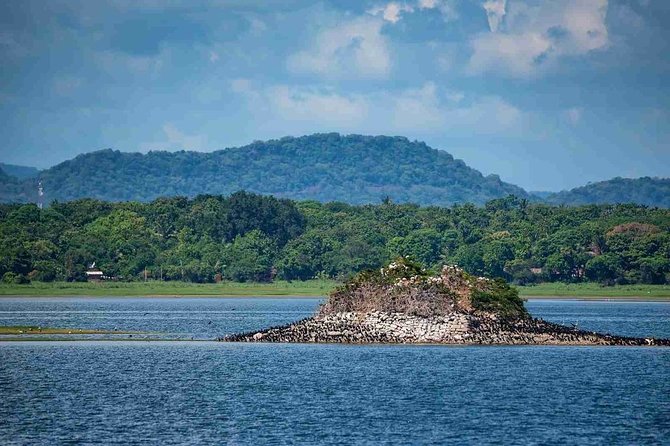 Polonnaruwa Day Tour with Lunch by Mahaweli - Getting From Kandy: Early Pickup, Comfortable Ride, Real-Time Control