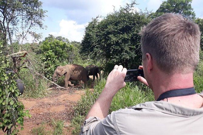 Polonnaruwa Day Tour with Lunch by Mahaweli - Optional Minneriya National Park: The Elephant Moment (Without the Pressure)