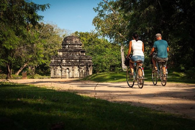 Polonnaruwa Day Tour with Lunch by Mahaweli - Matale Hindu Temple: Color, Culture, and a Very Small Time Cost