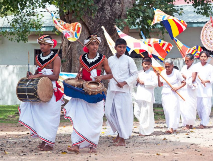 Polonnaruwa Day Tour With Minneriya NP Elephant Safari - Other wildlife and birdlife: the quieter payoff