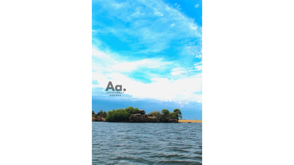 Pottuvil Lagoon Eco Tour : Mangrove Adventure in Arugam Bay - Who this eco tour fits best