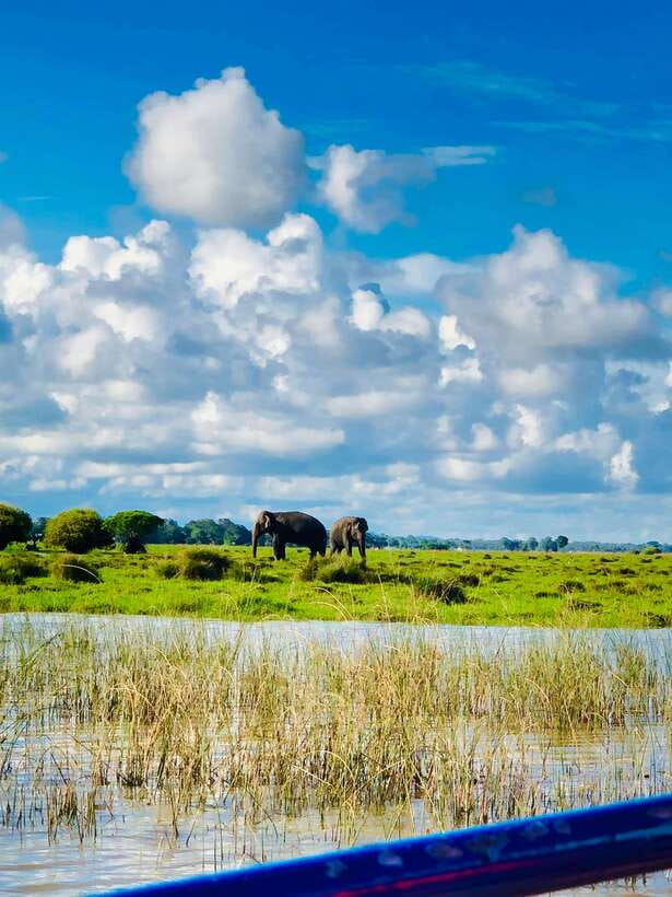 Pottuvil Lagoon Eco Tour : Mangrove Adventure in Arugam Bay - Pottuvil Lagoon: why this mangrove safari feels different