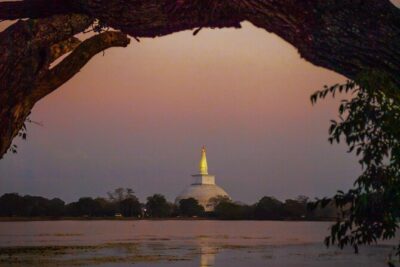 Private 7-Day Tour around Sri Lanka - Dambulla Golden Temple and Kandy’s Sacred Tooth Relic: Spiritual Sites with Real Context