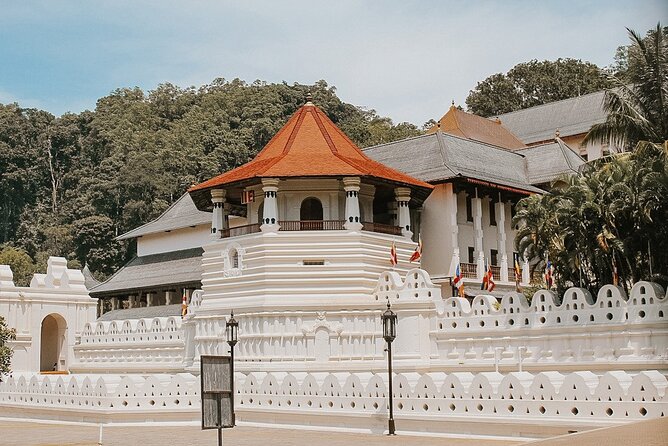 Private 7 Days Sri Lanka Tour with Safari and Cultural sites - Ella by Blue Train plus Nine Arch Bridge: your best photo day isn’t just the bridge