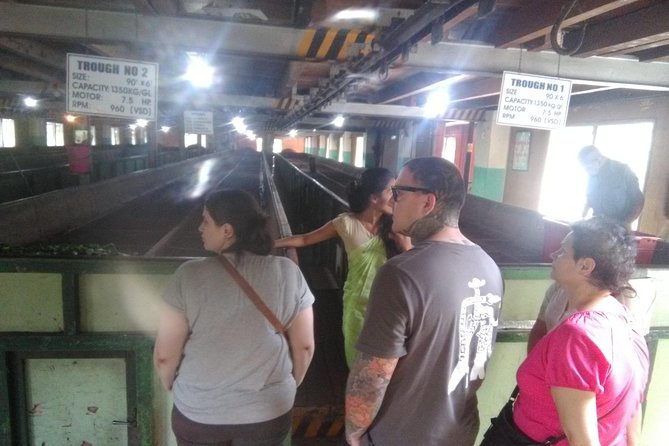 Private all inclusive Day tour Kandy, Pinnawala, & your own selected attractions - Peradeniya Royal Botanical Gardens: orchids and a 60-minute reset