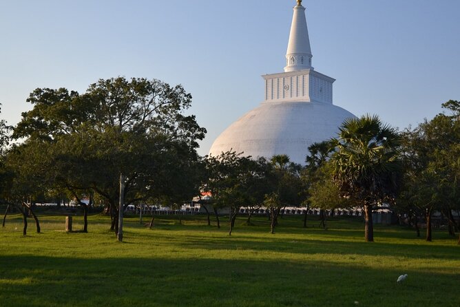 Private City Day Tour in Anuradhapura - Abayagiriya Stupa: the height myth that mattered