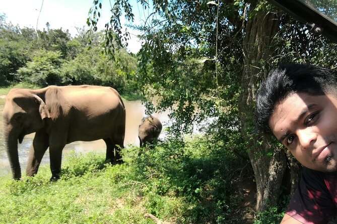 Private Dambulla Sigiriya Tour from Kandy with friendly chauffeur - Minneriya National Park safari: elephants, but plan for real conditions