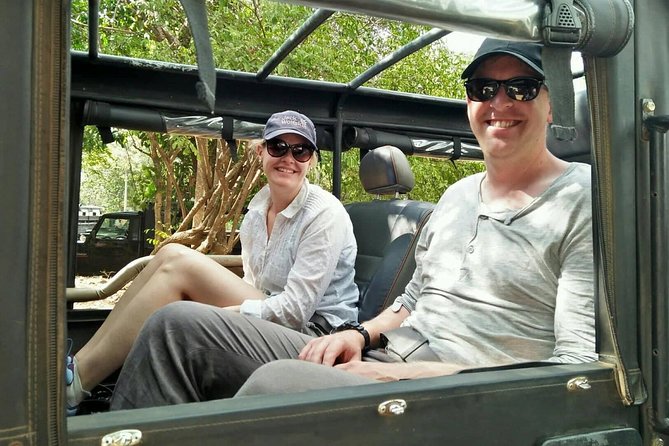 Private Dambulla Sigiriya Tour from Kandy with Lunch - Getting from Kandy: pickup, minivan comfort, and how the day flows