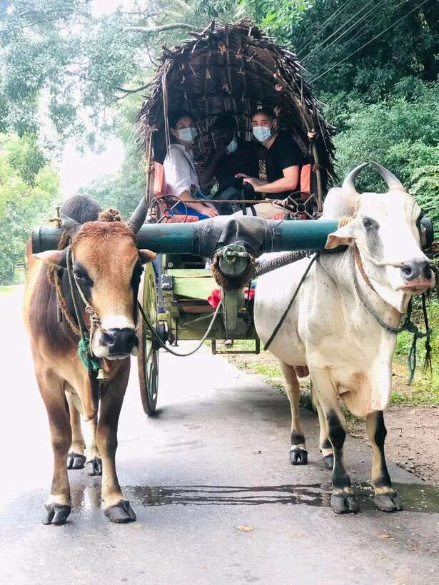 Private Day Tour Dambulla Sigiriya Village Tour - One day, two big names: how the route works