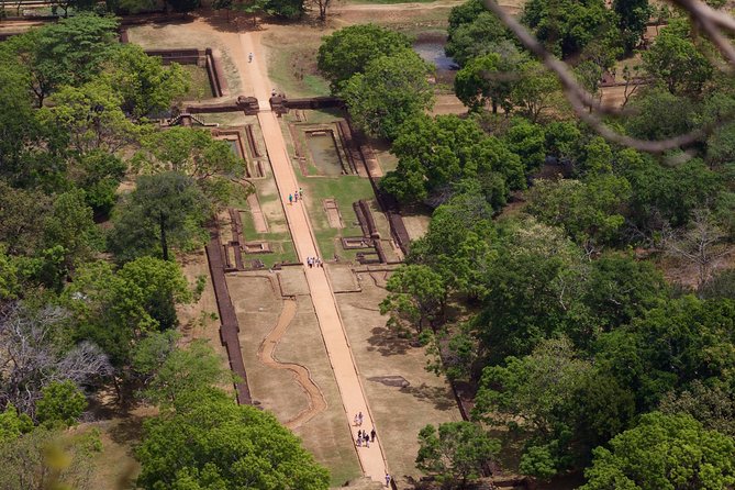 Private Day Tour from Colombo to Sigiriya, Dambulla & Pidurangala - Your private transportation and driver: why it matters on a long day