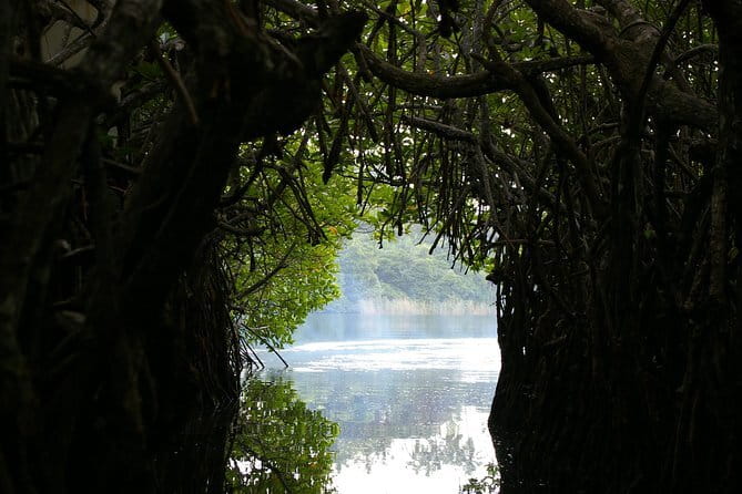 Private Day Tour: Negombo City Tour from Colombo - Key highlights you’ll actually care about