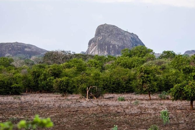 Private Day Tour: Yala National Park Safari Tour from Galle & Weligama - Naturalist-led spotting: how the guide makes the difference