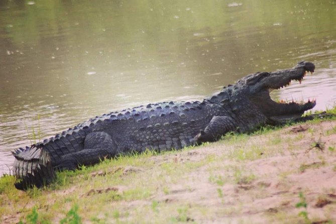 Private Day Tour: Yala National Park Safari Tour from Galle & Weligama - Home-cooked Sri Lankan lunch with a local family