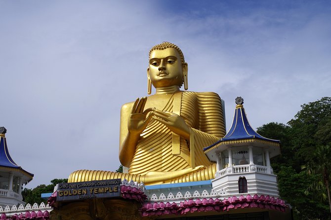 Private Day Trip to Sigiriya & Dambulla from Kandy – Aaliya Tours - Minneriya National Park: elephants in the afternoon reality check