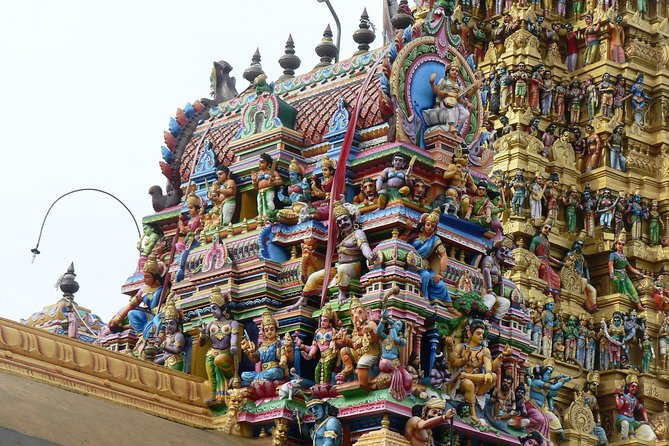 Private Day Trip to Sigiriya & Dambulla from Kandy – Aaliya Tours - Should you book Aaliya Tours for Sigiriya and Dambulla?