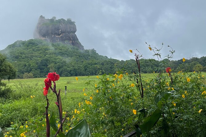 Private Full Day Tour Sigiriya and Dambulla From Kandy - What to expect from the English chauffeur guide (and how to get extra value)