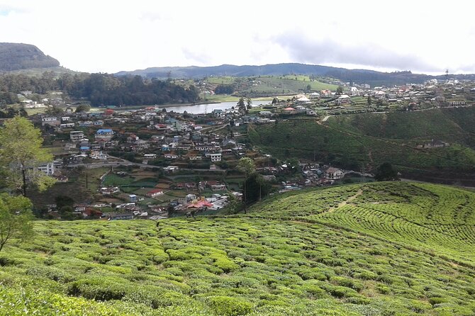 Private Full Day Tour to Nuwara Eliya from Kandy - Booking tips for a smoother day