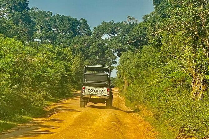 Private Full Day Udawalawe Safari Trip with Lunch - Udawalawe National Park: Why the Elephants Steal the Day