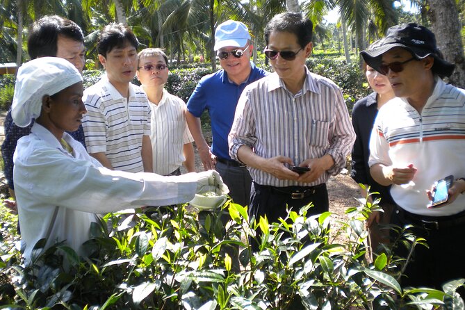 Private Galle Day Tour with Boat Safari & Tea Factory Visit - All Inclusive - Buddhist temple stop: a respectful pause in the middle of the drive