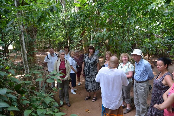 Private Galle Day Tour with Boat Safari & Tea Factory Visit - All Inclusive - Dutch Fort Galle: an easy walk through colonial trading power