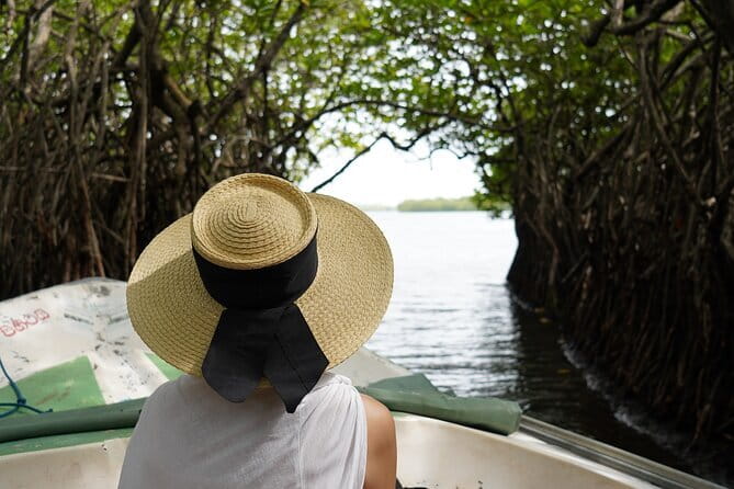 Private Galle Day Tour with River Safari, Stilt fishing & Turtles - Private Transport and the Real 6–7 Hours Timeline