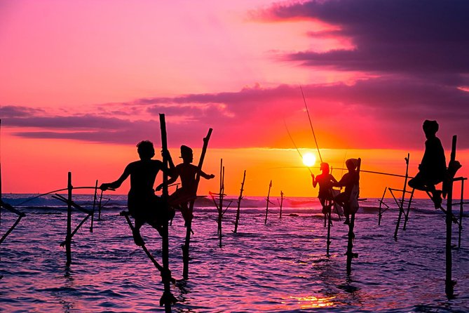 Private Galle Day Trip from Colombo/ Negambo / Bentota - Your guide makes it smoother: Wasa’s service style