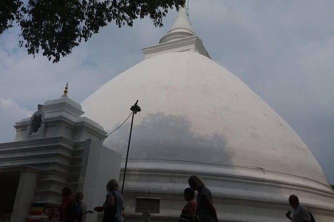 Private Half-Day Colombo City Tour - Pettah Markets and Dutch Hospital: When Colombo Turns Up the Volume