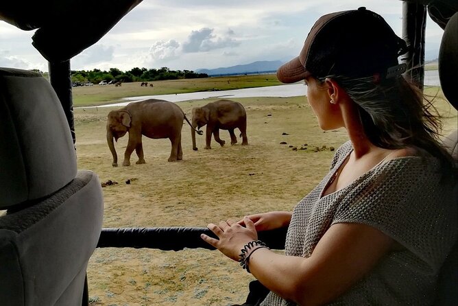 Private Half Day Safari in Udawalawe National Park - Booking and the ride day reality: what to plan around