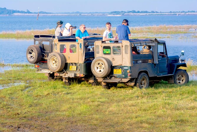 Private Jeep Safari at Minneriya National Park - Where you go: Minneriya, Kaudulla, or Hurulu Eco-Park